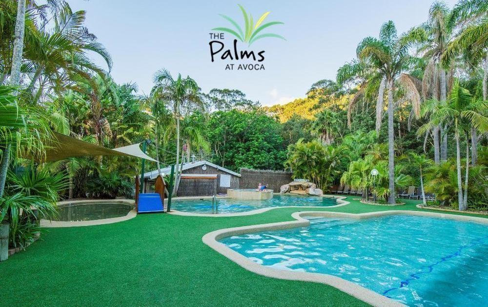 מלון אבוקה ביץ' The Palms At Avoca מראה חיצוני תמונה