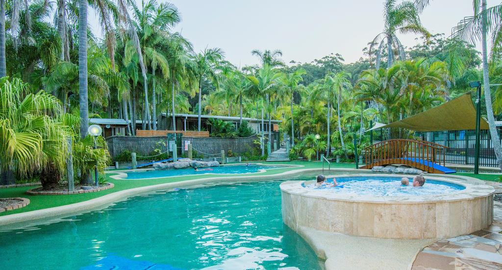מלון אבוקה ביץ' The Palms At Avoca חדר תמונה
