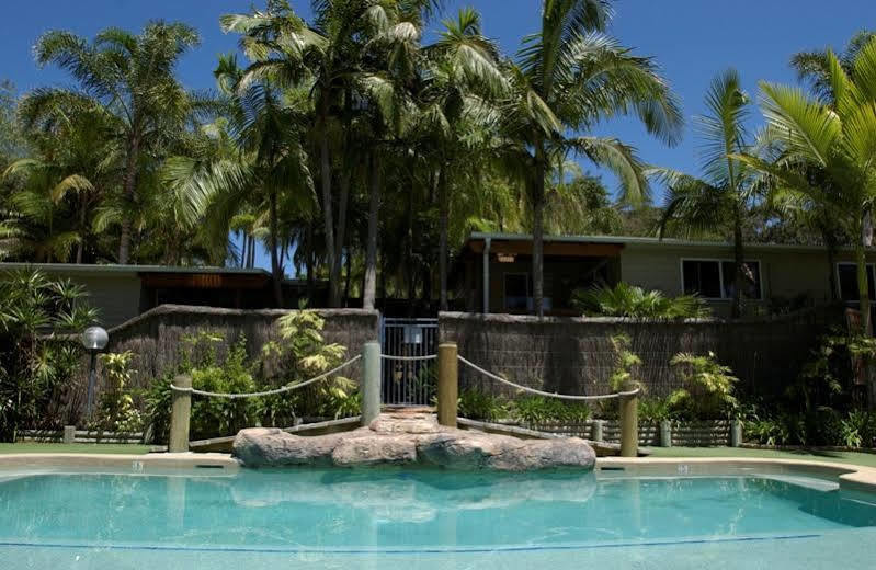 מלון אבוקה ביץ' The Palms At Avoca מראה חיצוני תמונה