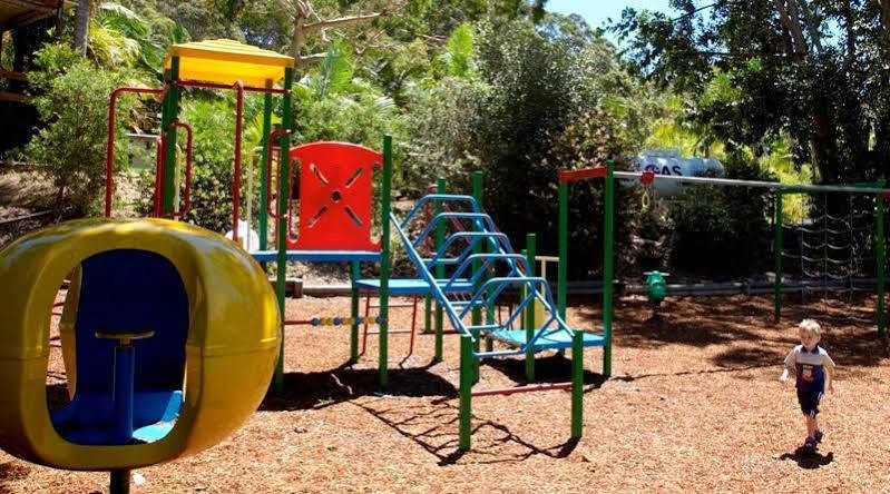 מלון אבוקה ביץ' The Palms At Avoca מראה חיצוני תמונה