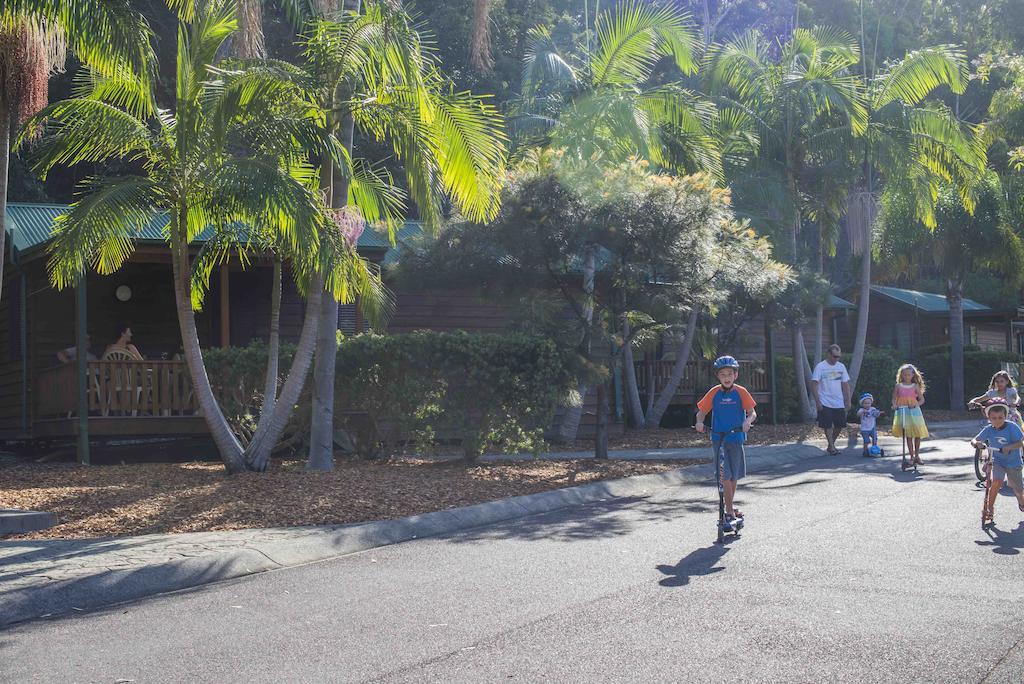 מלון אבוקה ביץ' The Palms At Avoca מראה חיצוני תמונה